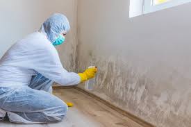 Best Mold Remediation for Healthcare Facilities  in Lead, SD